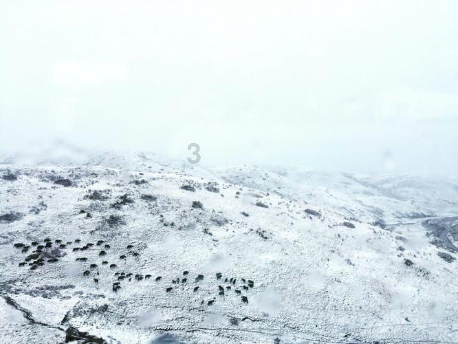 今年将举办河北省第五届冰雪运动会